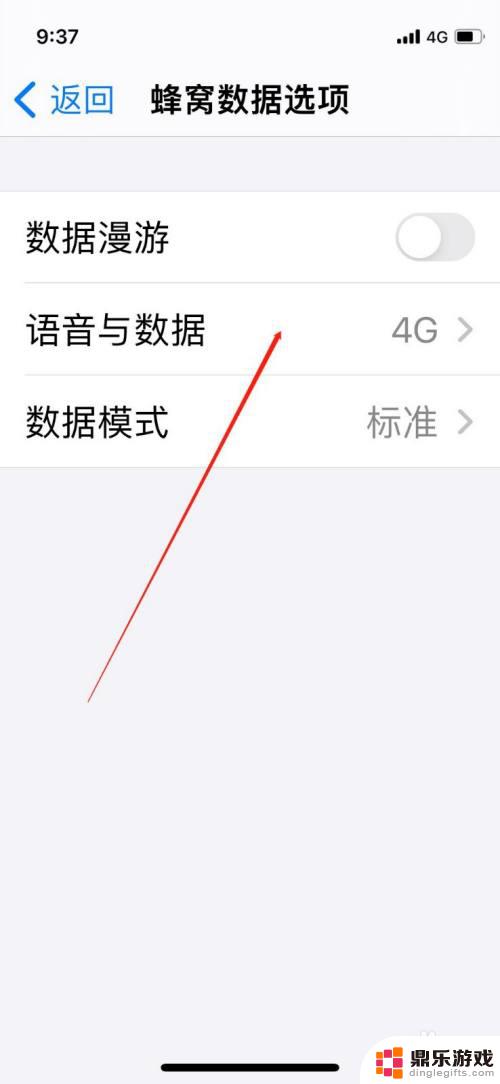 苹果手机5g怎么打开