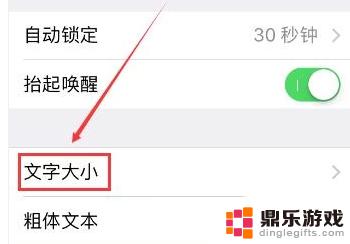 怎么把手机的字体放大?