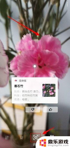 手机如何识别是什么植物