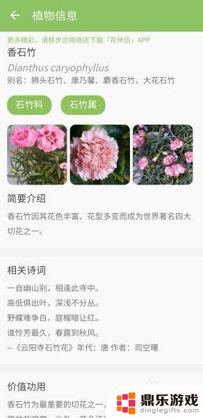 手机如何识别是什么植物