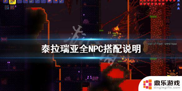 泰拉瑞亚各大npc都有什么用