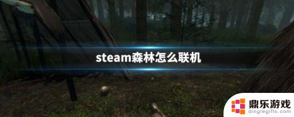 正版森林steam联机教程