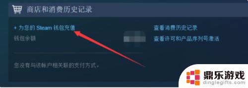 steam充值码在哪里看