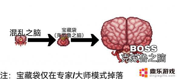 泰拉瑞亚战士的配饰