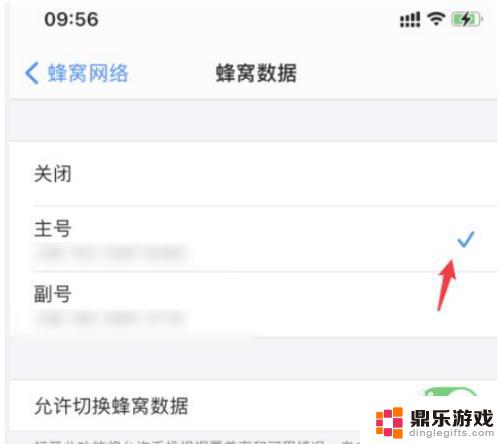 苹果手机双卡怎么切换网络数据